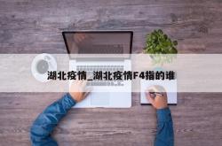 湖北疫情_湖北疫情F4指的谁