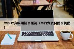 二四六资料期期中预测（二四六资料图玄机图）