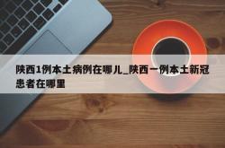 陕西1例本土病例在哪儿_陕西一例本土新冠患者在哪里