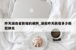 昨天湖南省新增的病例_湖南昨天新增多少新冠肺炎